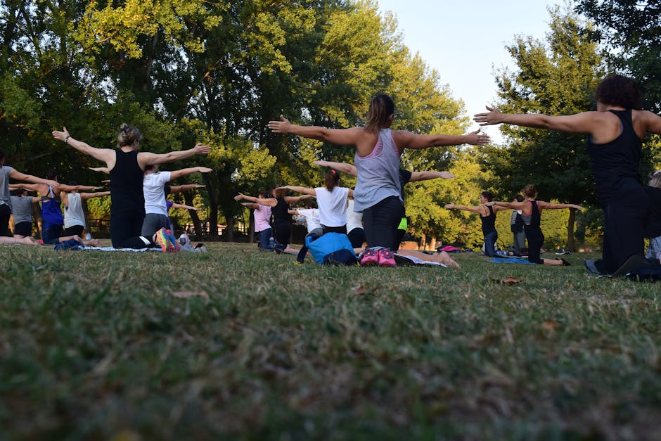 Aktivitäten, Frauen, Die Yoga Auf Grünem Gras In Der Nähe Von Bäumen Durchführen,